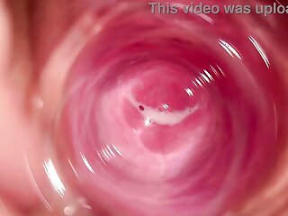 camera inside vagina